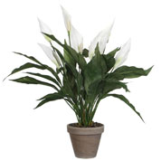 Planta Artificial - Spathiphyllum Branco - MICA